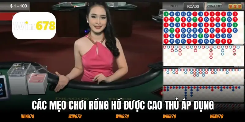 Các mẹo chơi Rồng Hổ được cao thủ áp dụng