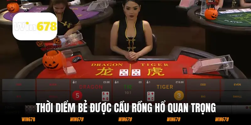 Thời điểm bẻ được cầu Rồng Hổ quan trọng